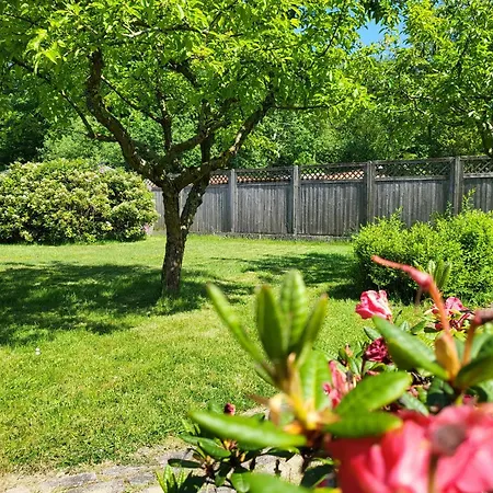 Luettje Diek 21 Apartmán *