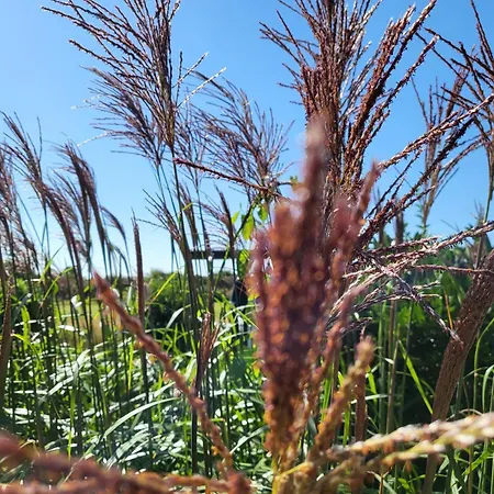 Luettje Diek 21 Sankt Peter-Ording